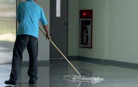 Mops
